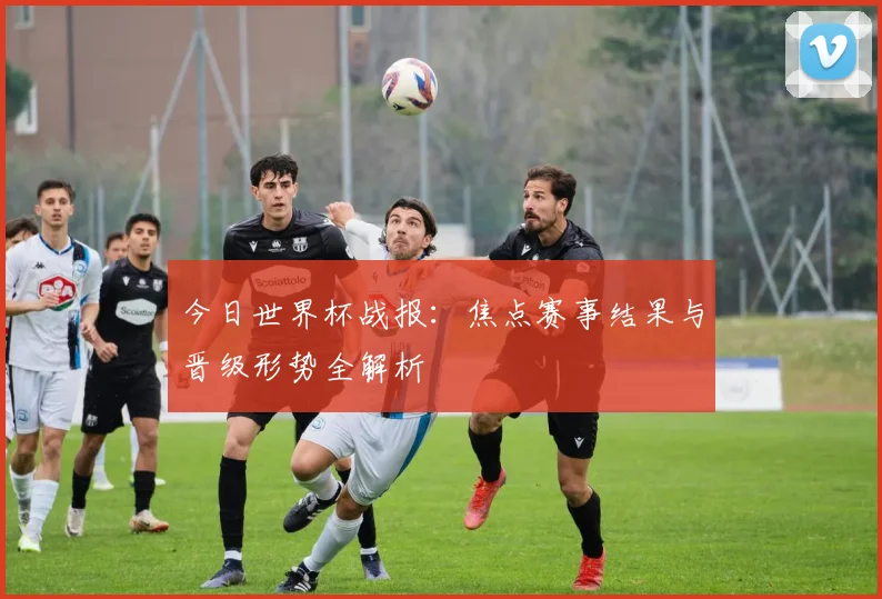 今日世界杯战报:焦点赛事结果与晋级形势全解析