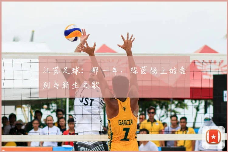 江苏足球：那一年，绿茵场上的告别与新生之歌